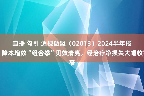 直播 勾引 透视微盟（02013）2024半年报：降本增效“组合拳”见效清亮，经治疗净损失大幅收窄