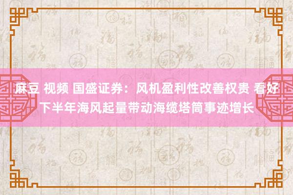 麻豆 视频 国盛证券：风机盈利性改善权贵 看好下半年海风起量带动海缆塔筒事迹增长