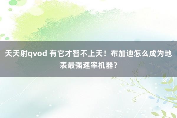 天天射qvod 有它才智不上天！布加迪怎么成为地表最强速率机器？