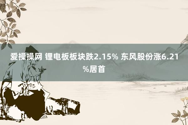 爱操操网 锂电板板块跌2.15% 东风股份涨6.21%居首