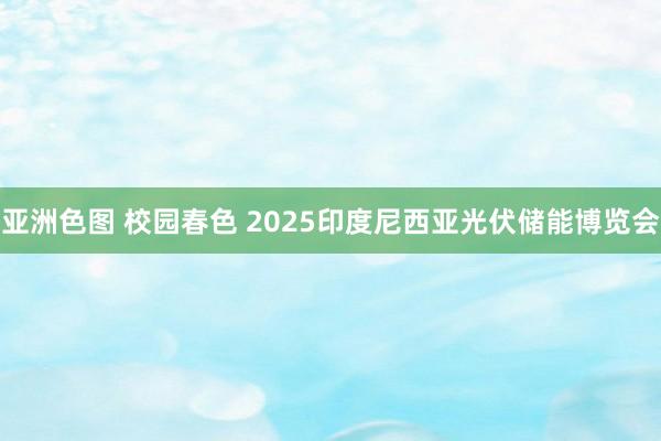 亚洲色图 校园春色 2025印度尼西亚光伏储能博览会