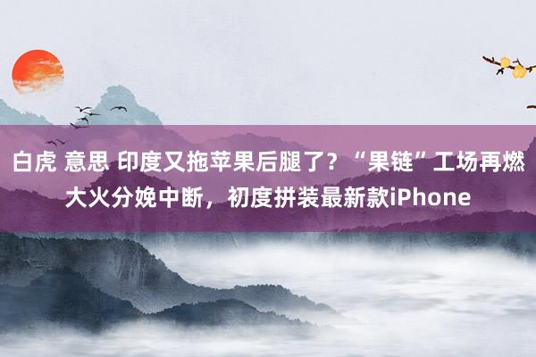 白虎 意思 印度又拖苹果后腿了？“果链”工场再燃大火分娩中断，初度拼装最新款iPhone