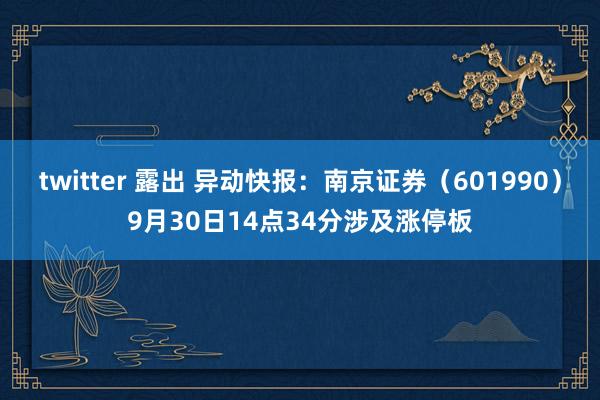 twitter 露出 异动快报：南京证券（601990）9月30日14点34分涉及涨停板