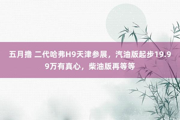 五月撸 二代哈弗H9天津参展，汽油版起步19.99万有真心，柴油版再等等