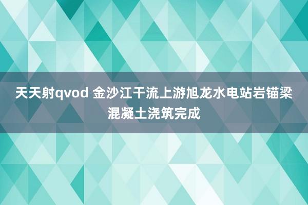 天天射qvod 金沙江干流上游旭龙水电站岩锚梁混凝土浇筑完成