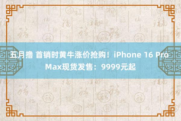 五月撸 首销时黄牛涨价抢购！iPhone 16 Pro Max现货发售：9999元起