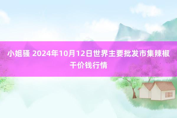 小姐骚 2024年10月12日世界主要批发市集辣椒干价钱行情