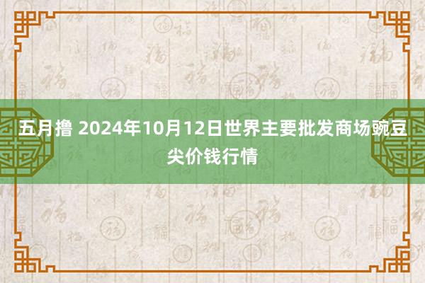 五月撸 2024年10月12日世界主要批发商场豌豆尖价钱行情