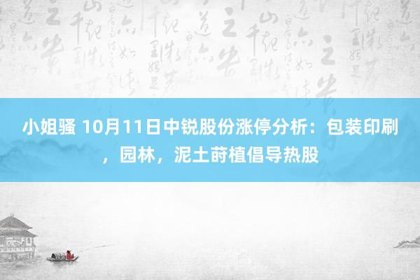 小姐骚 10月11日中锐股份涨停分析：包装印刷，园林，泥土莳植倡导热股