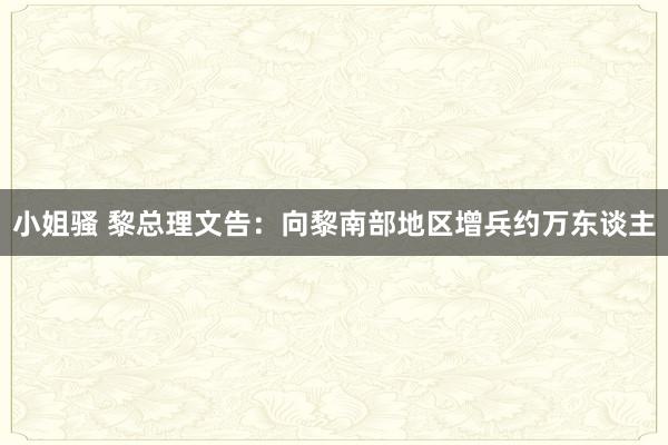 小姐骚 黎总理文告：向黎南部地区增兵约万东谈主