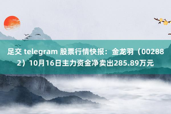 足交 telegram 股票行情快报：金龙羽（002882）10月16日主力资金净卖出285.89万元