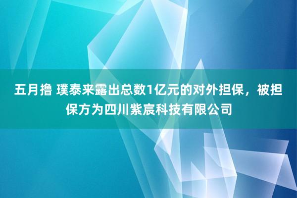 五月撸 璞泰来露出总数1亿元的对外担保，被担保方为四川紫宸科技有限公司