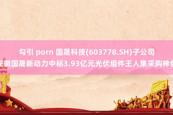 勾引 porn 国晟科技(603778.SH)子公司安徽国晟新动力中标3.93亿元光伏组件王人集采购神色