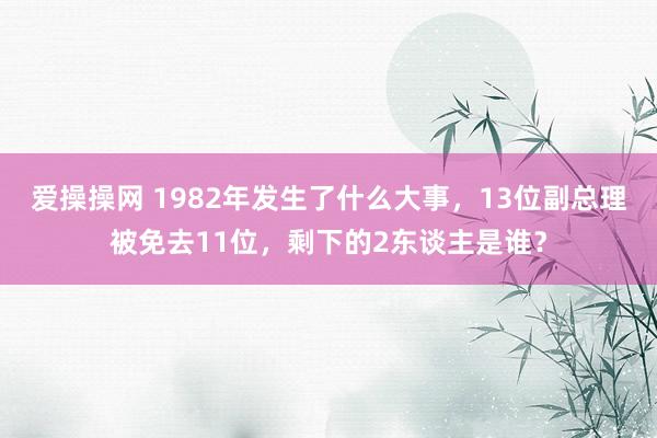 爱操操网 1982年发生了什么大事，13位副总理被免去11位，剩下的2东谈主是谁？