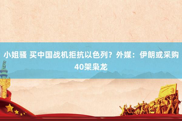 小姐骚 买中国战机拒抗以色列？外媒：伊朗或采购40架枭龙