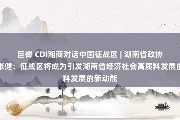 巨臀 CDI湘商对话中国征战区 | 湖南省政协副主席张健：征战区将成为引发湖南省经济社会高质料发展的新动能