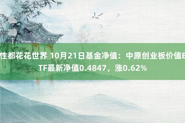 性都花花世界 10月21日基金净值：中原创业板价值ETF最新净值0.4847，涨0.62%