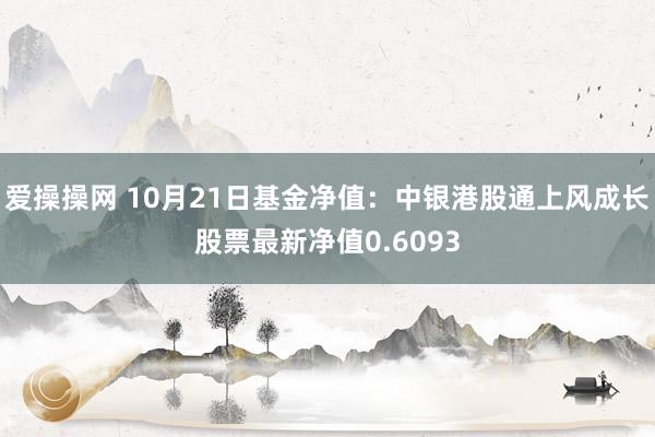 爱操操网 10月21日基金净值：中银港股通上风成长股票最新净值0.6093