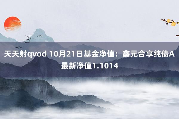 天天射qvod 10月21日基金净值：鑫元合享纯债A最新净值1.1014