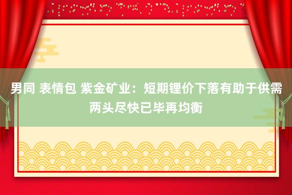 男同 表情包 紫金矿业：短期锂价下落有助于供需两头尽快已毕再均衡