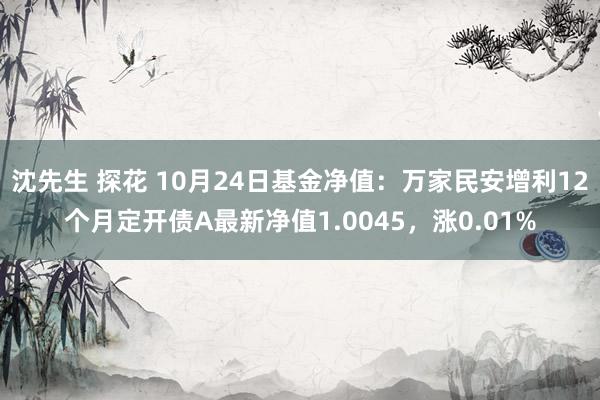 沈先生 探花 10月24日基金净值：万家民安增利12个月定开债A最新净值1.0045，涨0.01%