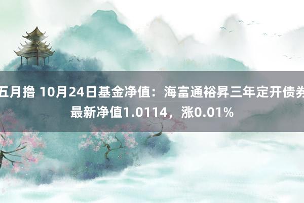 五月撸 10月24日基金净值：海富通裕昇三年定开债券最新净值1.0114，涨0.01%