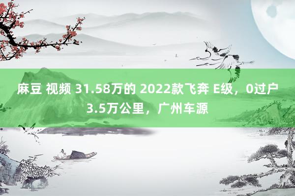 麻豆 视频 31.58万的 2022款飞奔 E级，0过户3.5万公里，广州车源