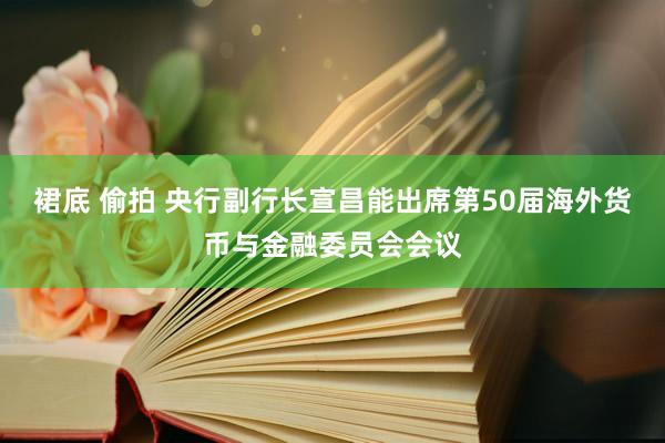 裙底 偷拍 央行副行长宣昌能出席第50届海外货币与金融委员会会议