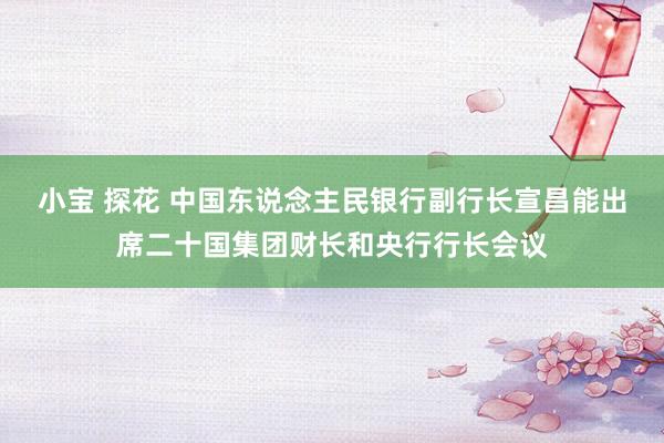 小宝 探花 中国东说念主民银行副行长宣昌能出席二十国集团财长和央行行长会议