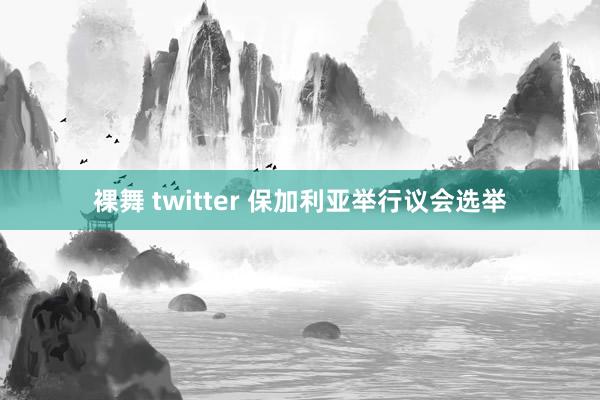 裸舞 twitter 保加利亚举行议会选举