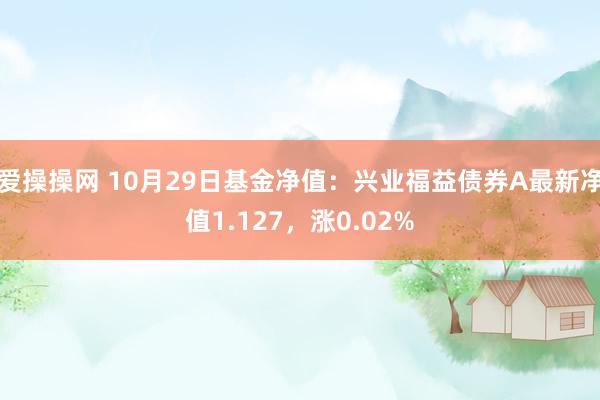 爱操操网 10月29日基金净值：兴业福益债券A最新净值1.127，涨0.02%