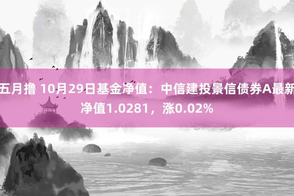 五月撸 10月29日基金净值：中信建投景信债券A最新净值1.0281，涨0.02%