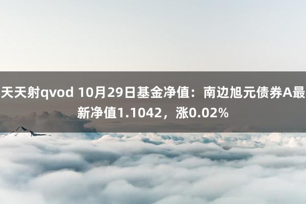 天天射qvod 10月29日基金净值：南边旭元债券A最新净值1.1042，涨0.02%