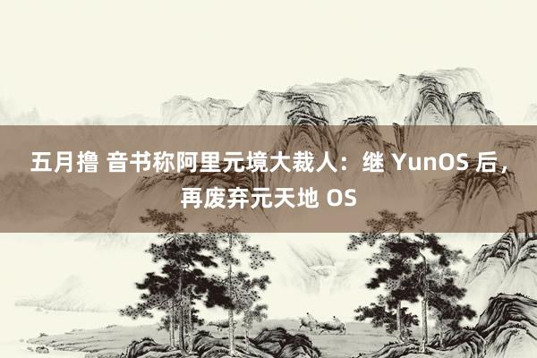 五月撸 音书称阿里元境大裁人：继 YunOS 后，再废弃元天地 OS