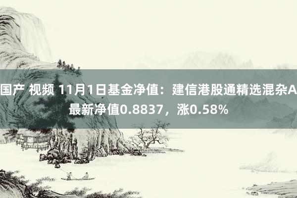 国产 视频 11月1日基金净值：建信港股通精选混杂A最新净值0.8837，涨0.58%