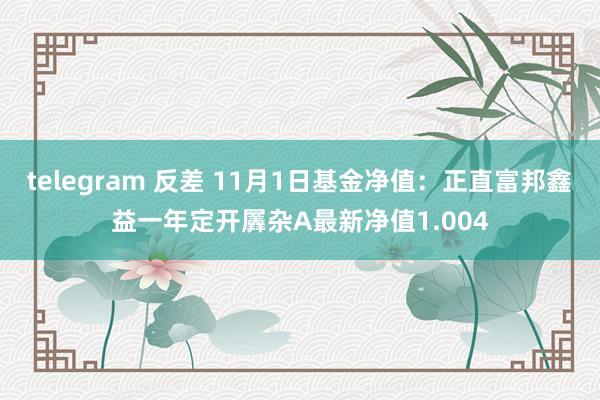 telegram 反差 11月1日基金净值：正直富邦鑫益一年定开羼杂A最新净值1.004