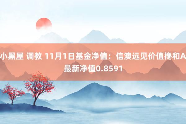 小黑屋 调教 11月1日基金净值：信澳远见价值搀和A最新净值0.8591