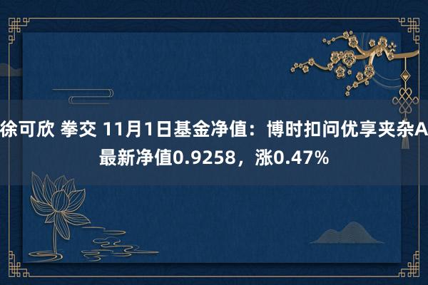 徐可欣 拳交 11月1日基金净值：博时扣问优享夹杂A最新净值0.9258，涨0.47%