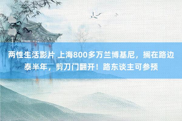 两性生活影片 上海800多万兰博基尼，搁在路边泰半年，剪刀门翻开！路东谈主可参预