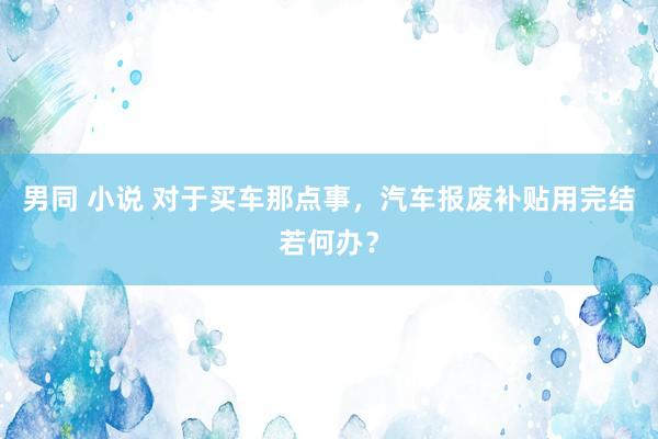 男同 小说 对于买车那点事，汽车报废补贴用完结若何办？