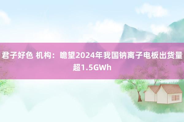 君子好色 机构：瞻望2024年我国钠离子电板出货量超1.5GWh