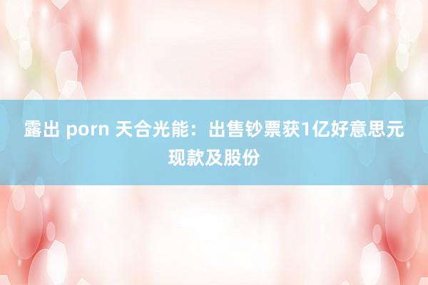 露出 porn 天合光能：出售钞票获1亿好意思元现款及股份