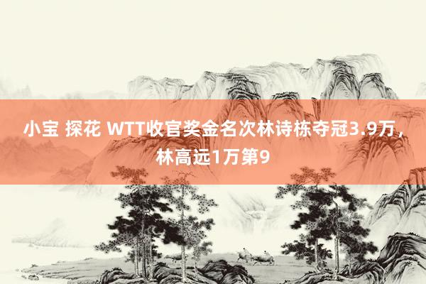 小宝 探花 WTT收官奖金名次林诗栋夺冠3.9万，林高远1万第9