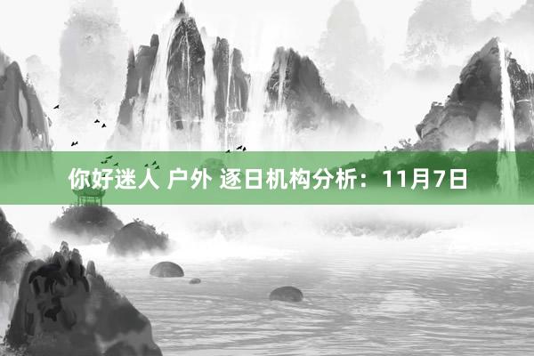 你好迷人 户外 逐日机构分析：11月7日