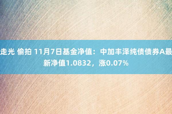 走光 偷拍 11月7日基金净值：中加丰泽纯债债券A最新净值1.0832，涨0.07%