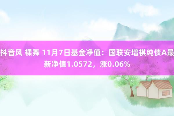 抖音风 裸舞 11月7日基金净值：国联安增祺纯债A最新净值1.0572，涨0.06%