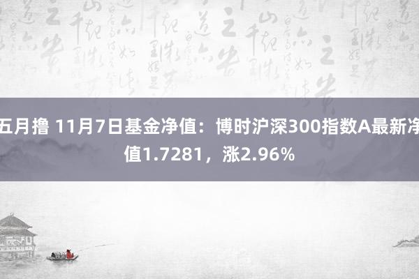 五月撸 11月7日基金净值：博时沪深300指数A最新净值1.7281，涨2.96%