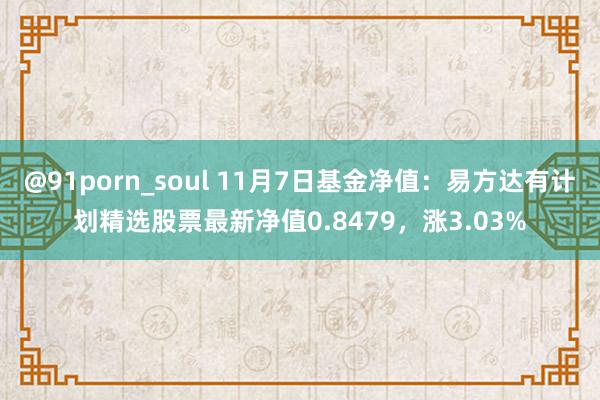 @91porn_soul 11月7日基金净值：易方达有计划精选股票最新净值0.8479，涨3.03%