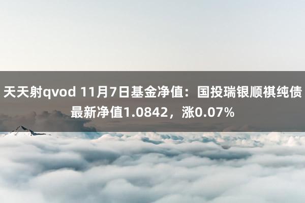 天天射qvod 11月7日基金净值：国投瑞银顺祺纯债最新净值1.0842，涨0.07%