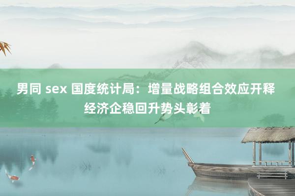 男同 sex 国度统计局：增量战略组合效应开释 经济企稳回升势头彰着